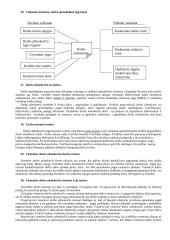 Verslo ekonomika ir visuotinė kokybės vadyba 7 puslapis