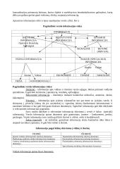 Verslo ekonomika - marketingas ir informacija 16 puslapis