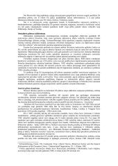 ES plėtra 2 puslapis