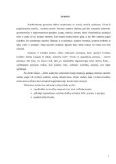 Nuomos sutarties parengimas ir teisinė analizė 3 puslapis