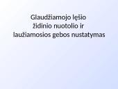 Plonas lęšis (skaidrės) 12 puslapis