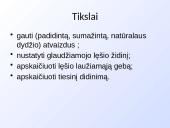 Plonas lęšis (skaidrės) 13 puslapis