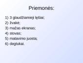 Plonas lęšis (skaidrės) 14 puslapis