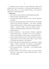 Administracinio proceso sąvoka 4 puslapis