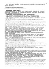 Antspaudų ir spaudų apyvarta 12 puslapis