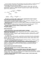 Antspaudų ir spaudų apyvarta 8 puslapis