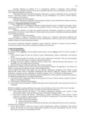 Baudžiamasis procesas: teorija 18 puslapis