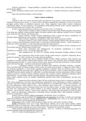 Baudžiamoji teisė specialioji dalis: teorija 19 puslapis