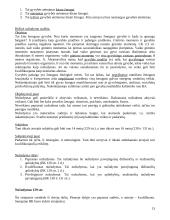 Baudžiamosios teisės specialiosios dalies teorinė medžiaga 13 puslapis