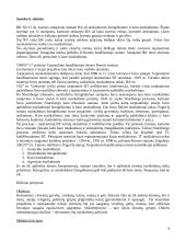 Baudžiamosios teisės specialiosios dalies teorinė medžiaga 4 puslapis