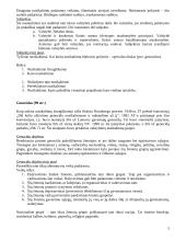 Baudžiamosios teisės specialiosios dalies teorinė medžiaga 5 puslapis