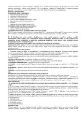 Baudžiamosios teisės sąvoka, funkcijos, sistema 4 puslapis