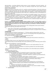 Baudžiamosios teisės mokslo teorija 17 puslapis