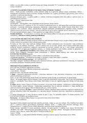 Bausmės samprata 2 puslapis