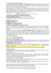 Bausmės samprata 15 puslapis