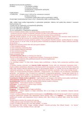 Bausmės samprata 17 puslapis