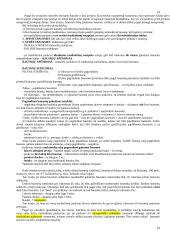 Bausmės samprata, tikslai 19 puslapis