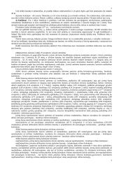 Bausmės samprata, tikslai 7 puslapis