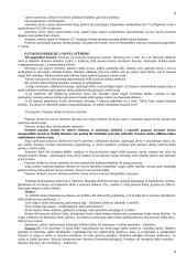 Bausmės samprata, tikslai 8 puslapis