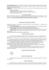 Teorija apie bendravimą 3 puslapis