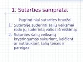 Bendrieji sutarčių teisės nuostatai 6 puslapis