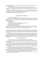 Būtinasis gynėjo dalyvavimas 2 puslapis