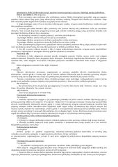 Civilinės atsakomybės sąlygos 2 puslapis