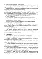 Civilinės atsakomybės sąlygos 5 puslapis