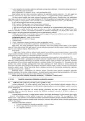 Civilinės atsakomybės sąlygos 7 puslapis