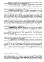 Civilinės teisės teorinė medžiaga 2 puslapis