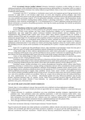 Civilinės teisės teorinė medžiaga 11 puslapis