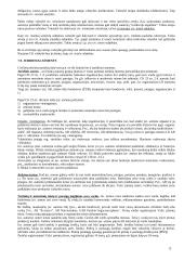 Civilinės teisės teorinė medžiaga 12 puslapis