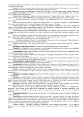 Civilinės teisės teorinė medžiaga 19 puslapis