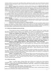 Civilinės teisės teorinė medžiaga 3 puslapis