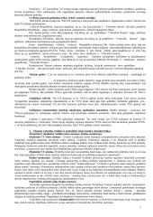 Civilinės teisės teorinė medžiaga 5 puslapis