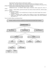 Civilinės teisės teorinė medžiaga 8 puslapis