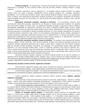 Teorija: civilinė teisė kaip teisės šaka 2 puslapis