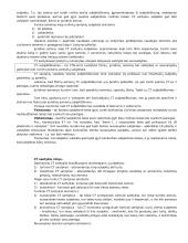 Teorija: civilinė teisė kaip teisės šaka 6 puslapis