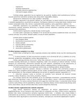 LR civilinė teisė kaip teisės šaka 2 puslapis