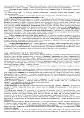 Civilinė teisė kaip teisės šaka 2 puslapis