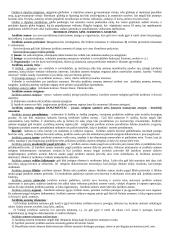 Civilinė teisė kaip teisės šaka 13 puslapis