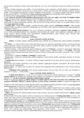 Civilinė teisė kaip teisės šaka 3 puslapis