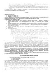 Civilinės atsakomybės samprata. Pasiruošimas egzaminui 2 puslapis