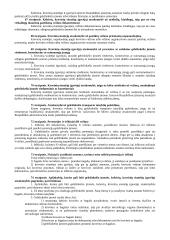 Civilinės atsakomybės samprata. Pasiruošimas egzaminui 11 puslapis