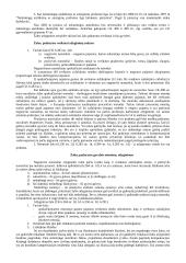 Civilinės atsakomybės samprata. Pasiruošimas egzaminui 15 puslapis