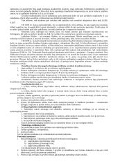 Civilinės atsakomybės samprata. Pasiruošimas egzaminui 16 puslapis