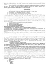 Civilinės atsakomybės samprata. Pasiruošimas egzaminui 4 puslapis