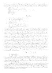 Civilinės atsakomybės samprata. Pasiruošimas egzaminui 6 puslapis