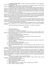 Civilinės atsakomybės samprata. Pasiruošimas egzaminui 7 puslapis