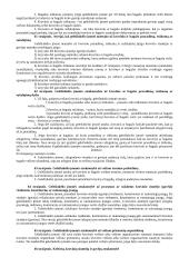 Civilinės atsakomybės samprata. Pasiruošimas egzaminui 10 puslapis